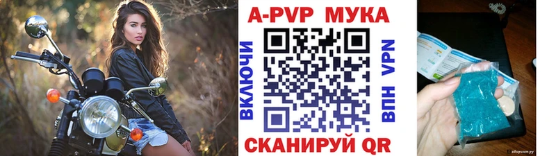 A PVP СК КРИС  Гулькевичи 