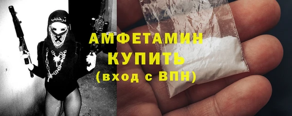 ПСИЛОЦИБИНОВЫЕ ГРИБЫ Богданович