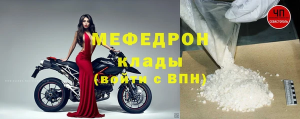 spice Богородск