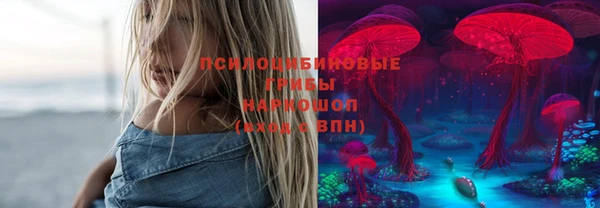 марки lsd Бородино