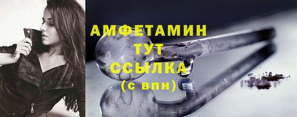 ПСИЛОЦИБИНОВЫЕ ГРИБЫ Богданович