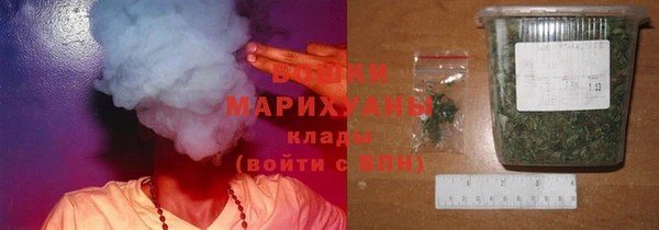 ПСИЛОЦИБИНОВЫЕ ГРИБЫ Богданович