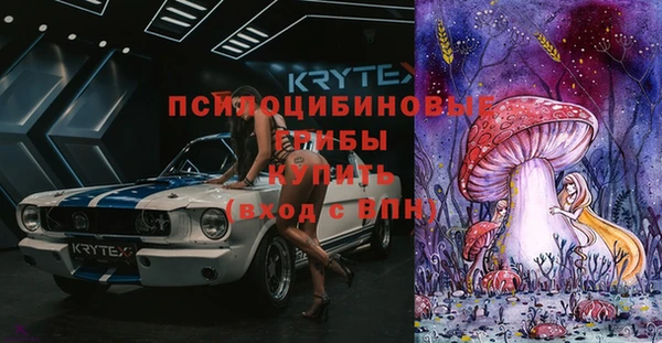 spice Богородск