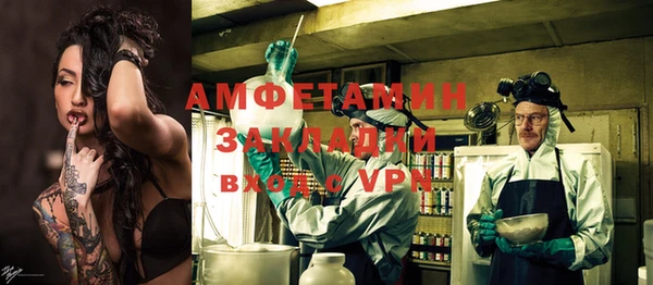 ПСИЛОЦИБИНОВЫЕ ГРИБЫ Богданович