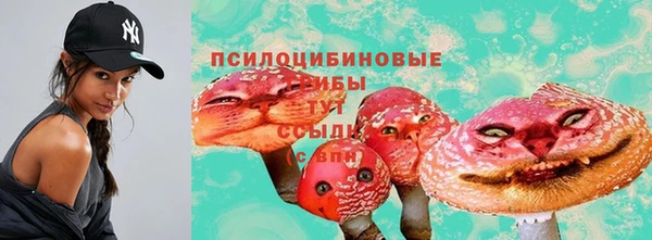 spice Богородск