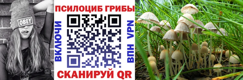 Галлюциногенные грибы Magic Shrooms  blacksprut рабочий сайт  Гулькевичи 